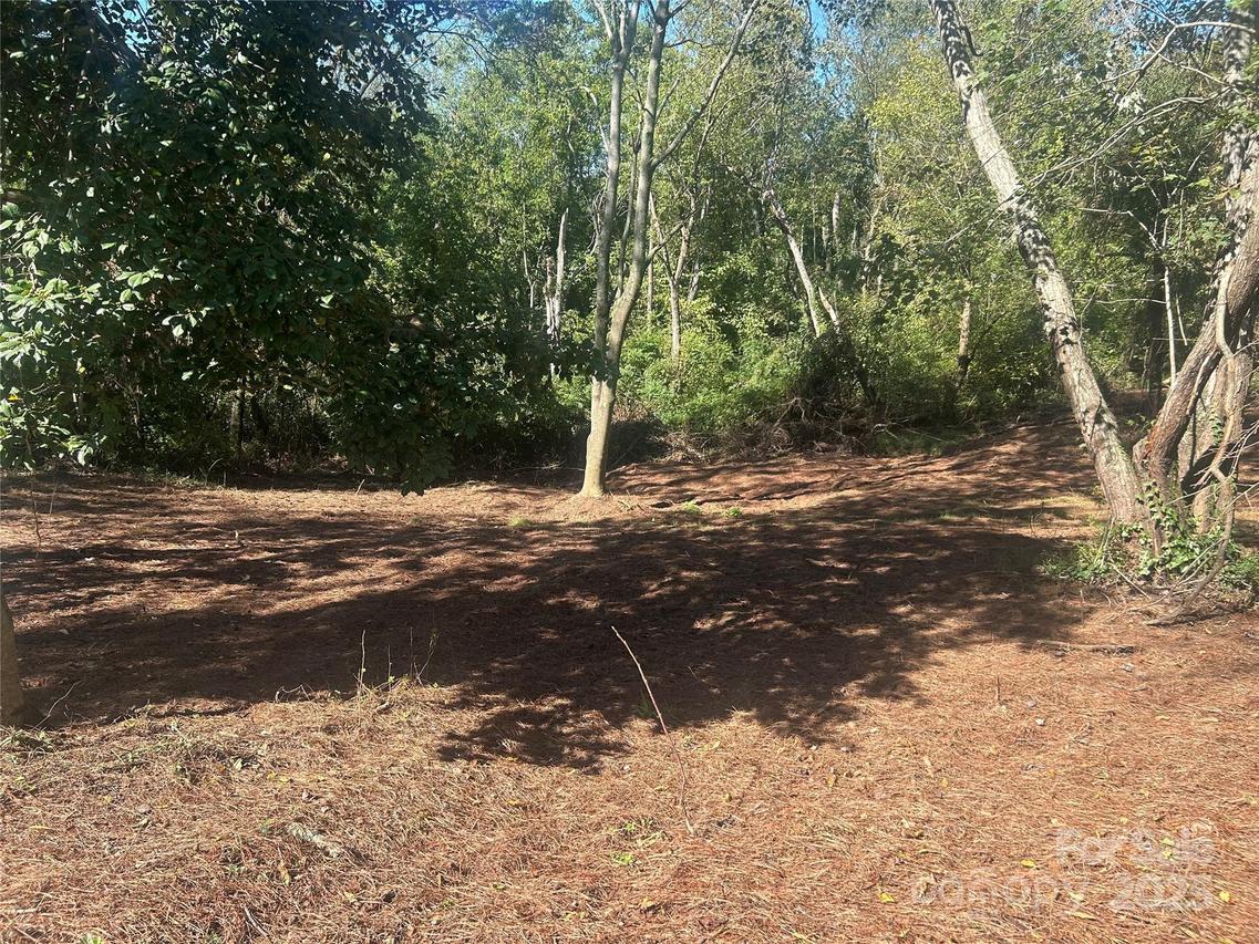 1 View St. #5, Portion 3, Woodfin, NC 28804
