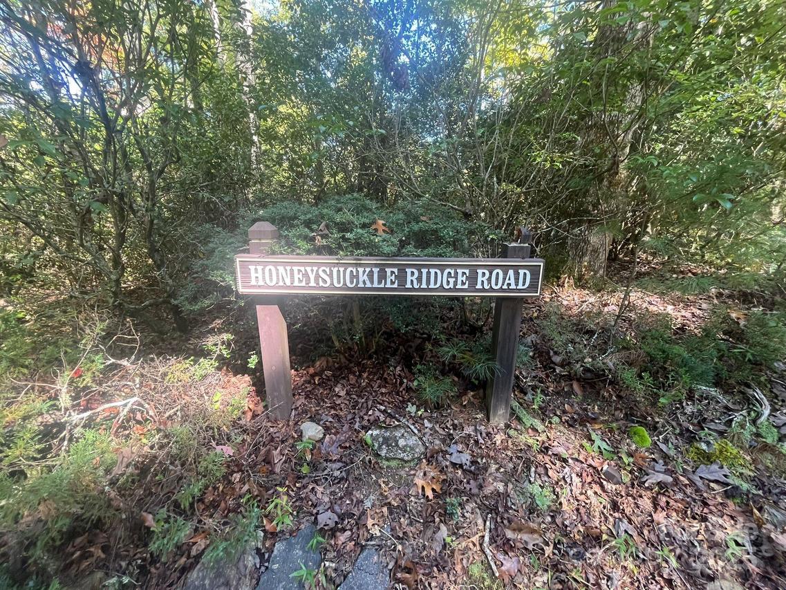 TBD Honeysuckle Ridge Rd. #Lot 14, Pisgah Forest, NC 28768