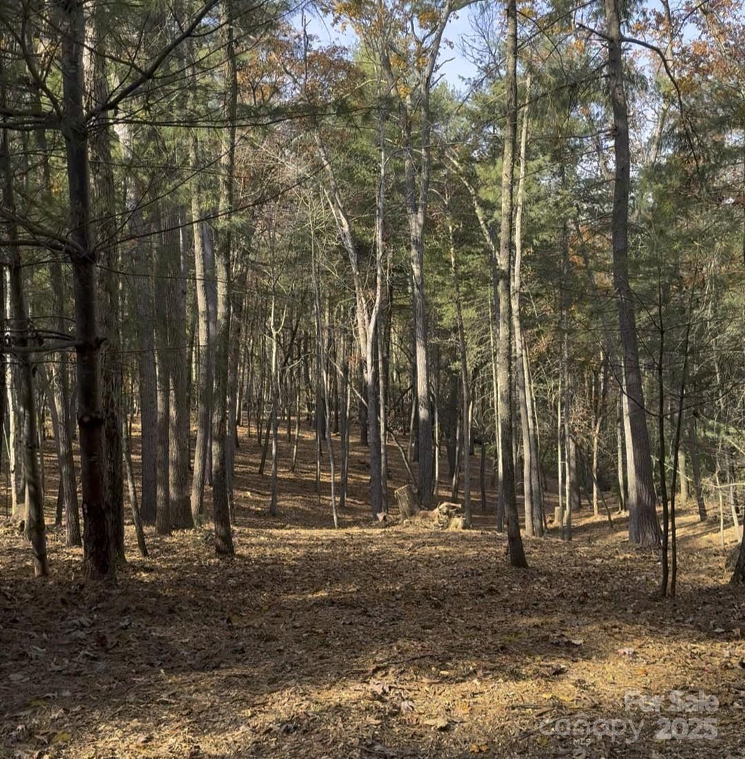 Cedar Hill Dr. #24, Asheville, NC 28803