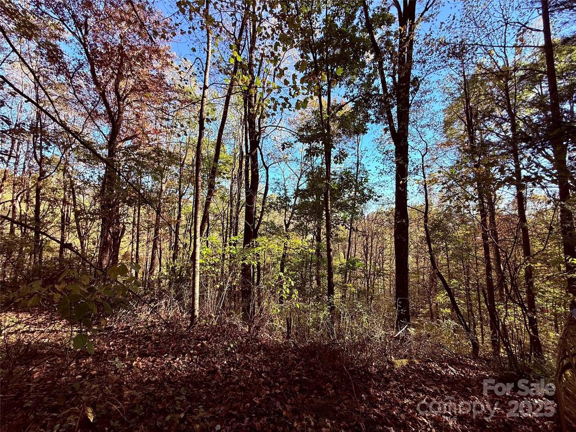 TBD Happy Ridge Ln., Sylva, NC 28779