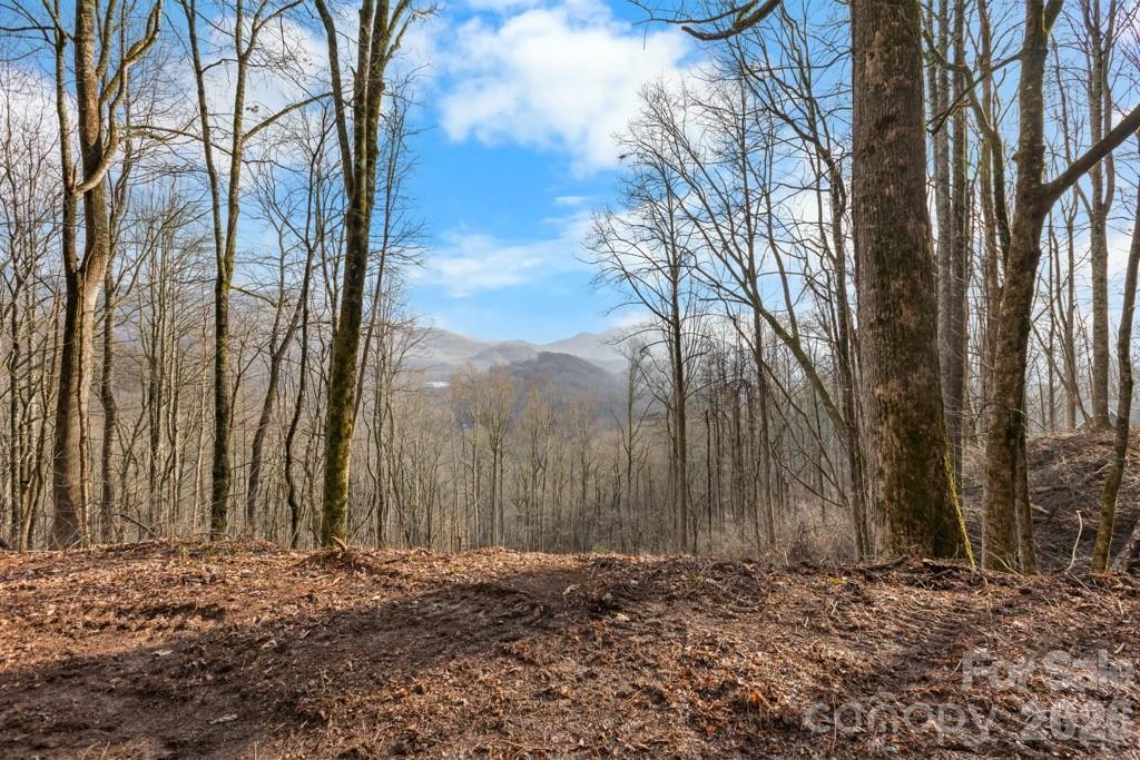 TBD Happy Ridge Ln., Sylva, NC 28779