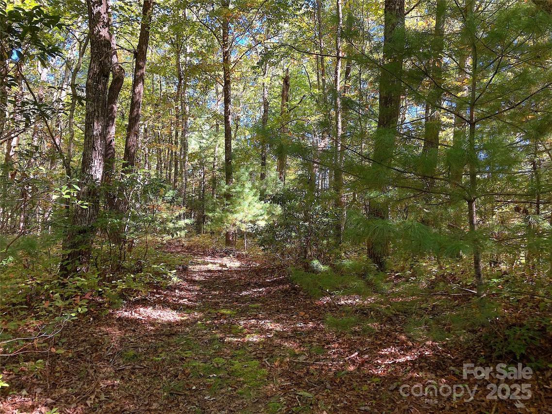 000 Middleton Ct., Brevard, NC 28712