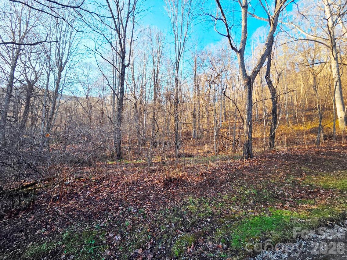 123 Live Oak Loop #29, Waynesville, NC 28785