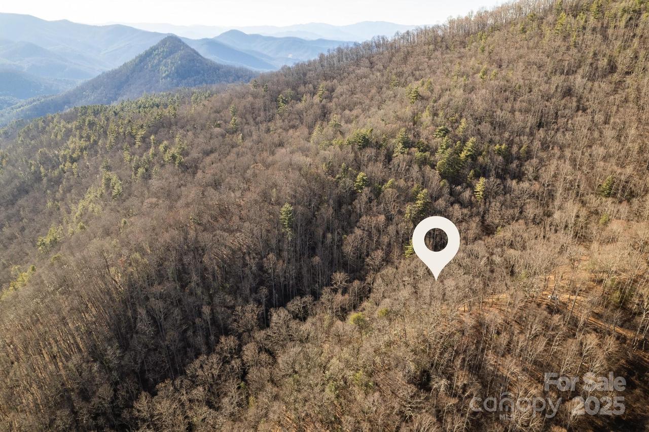 Moss Ridge Rd., Franklin, NC 28734
