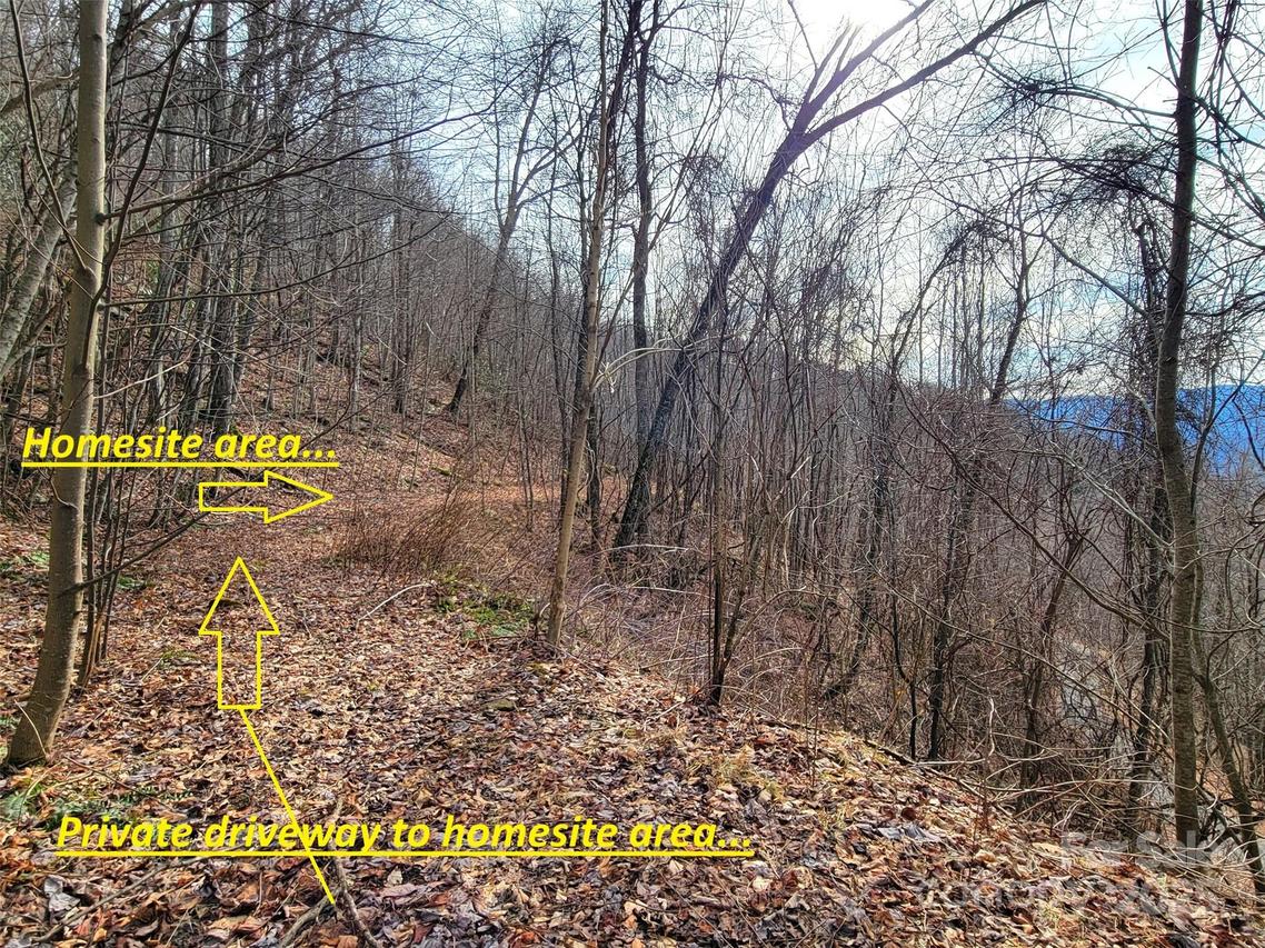 75 Rimrock Ridge #I, Clyde, NC 28721