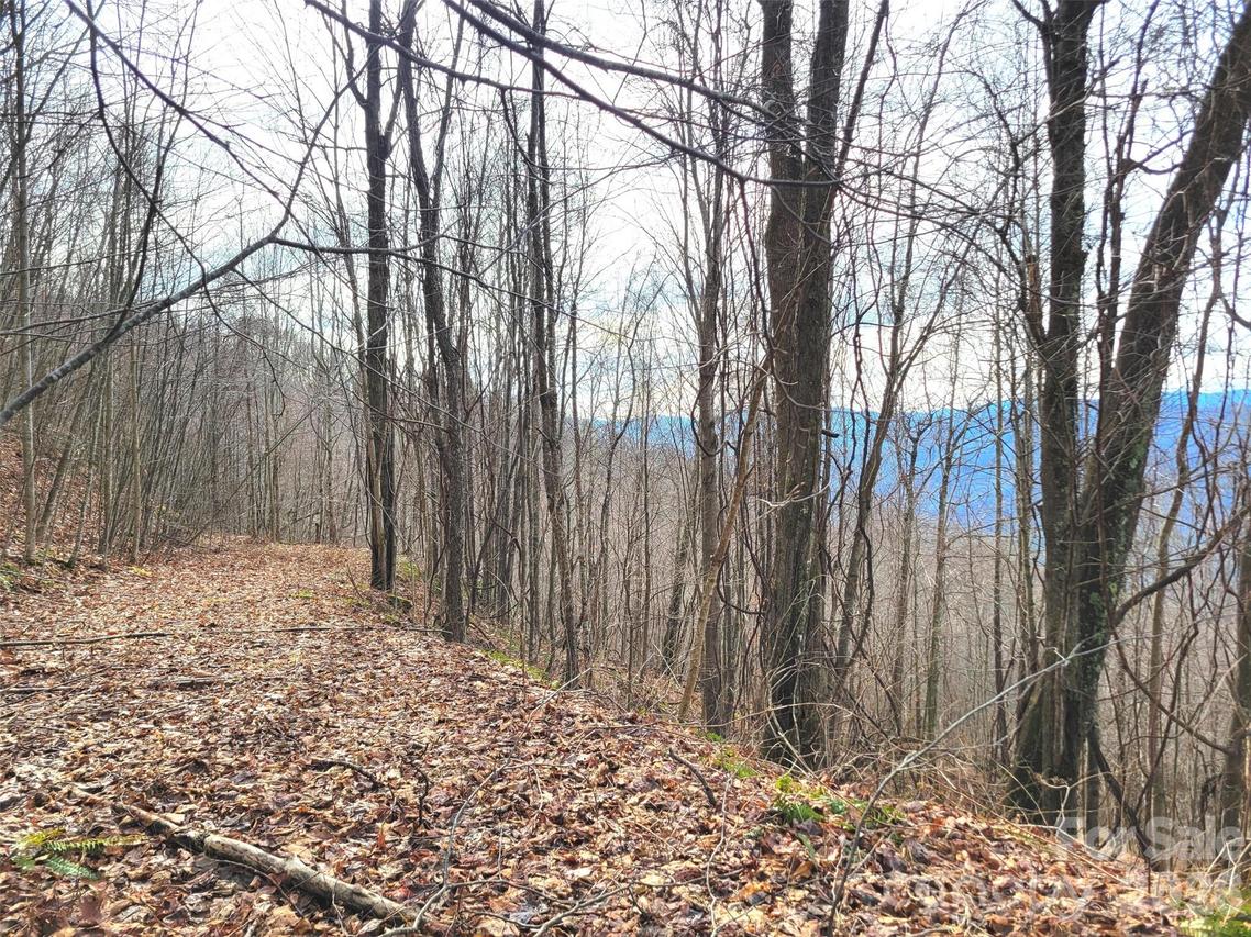 75 Rimrock Ridge #I, Clyde, NC 28721