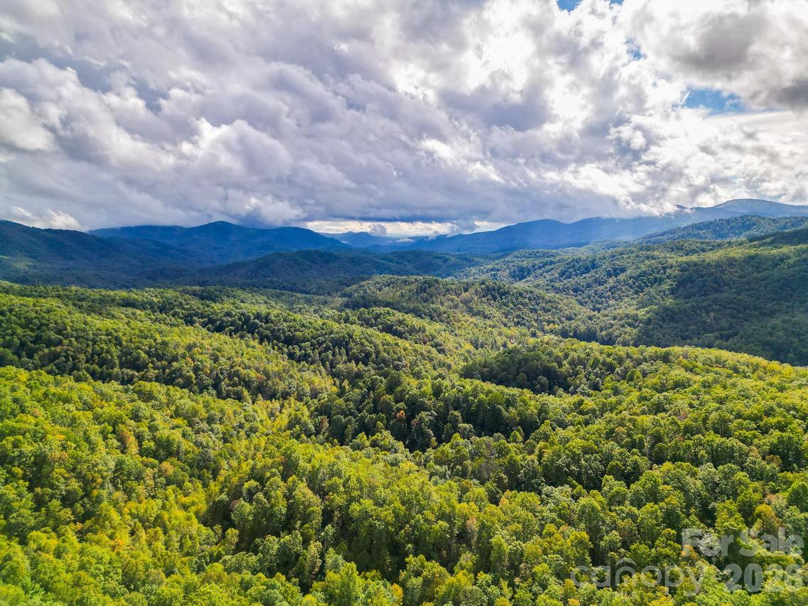 99999 Forest Brook Dr., Black Mountain, NC 28711