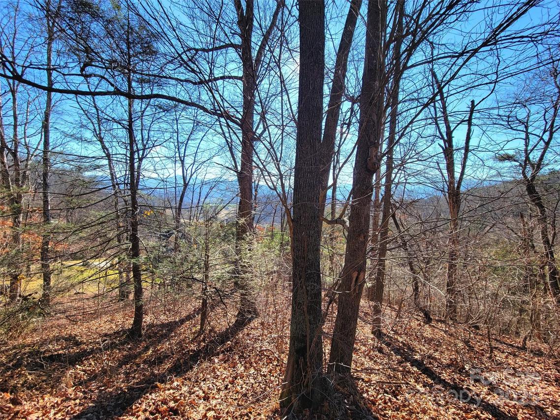 50 Feather Ln., Waynesville, NC 28786