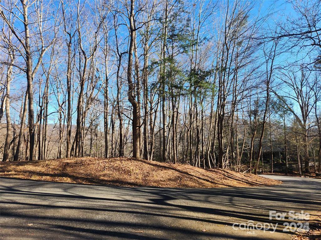 Lot 218 Bolt Rd., Lake Lure, NC 28746
