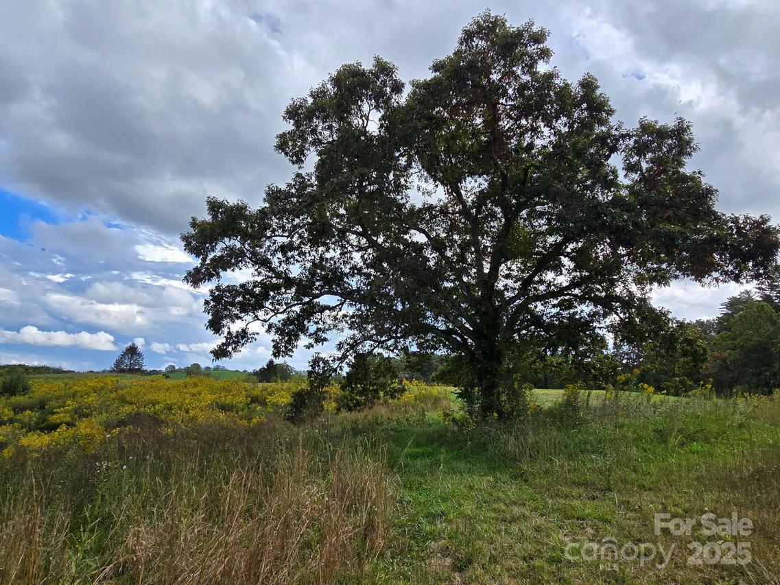 128 Cook Ln., Mills River, NC 28759