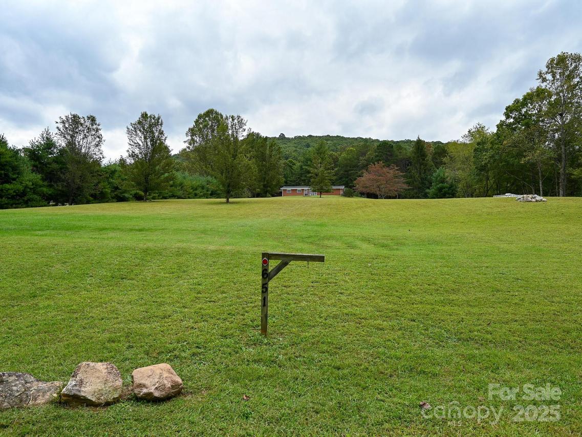 99999 Case Cove Rd., Candler, NC 28715