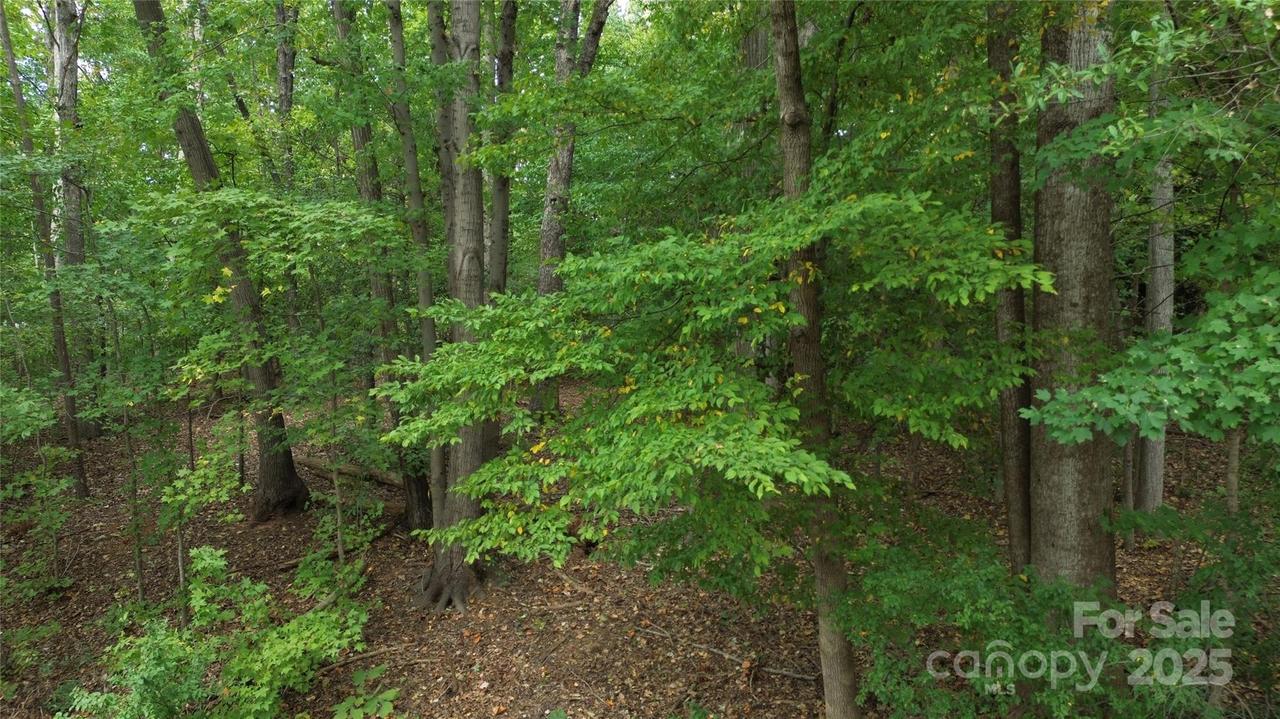 3008 Beaman Ave. #6, Charlotte, NC 28273