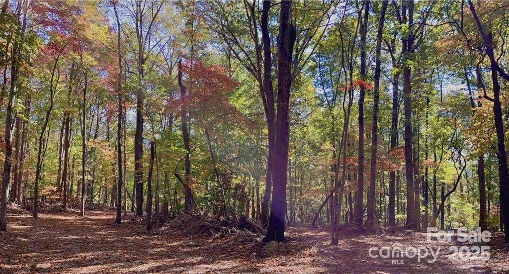 Lot 6 Flint Ridge Rd. #6, Albemarle, NC 28001