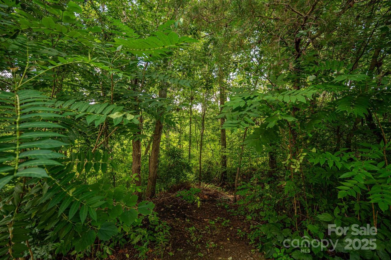 Lot 34 Line Dr., Forest City, NC 28043