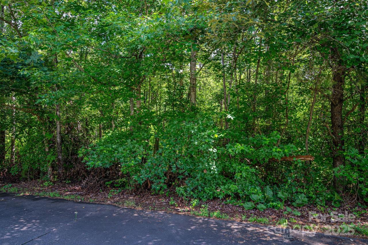 Lot 32 Line Dr., Forest City, NC 28043