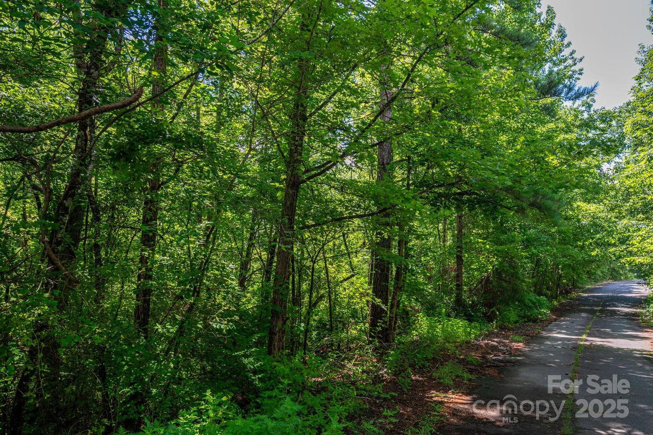 Lot 31 Line Dr., Forest City, NC 28043