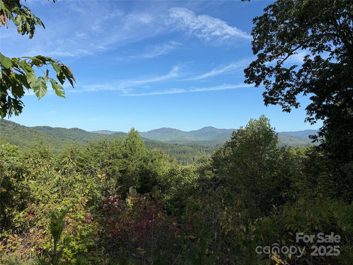 Woodgate Dr. #46, Bostic, NC 28018