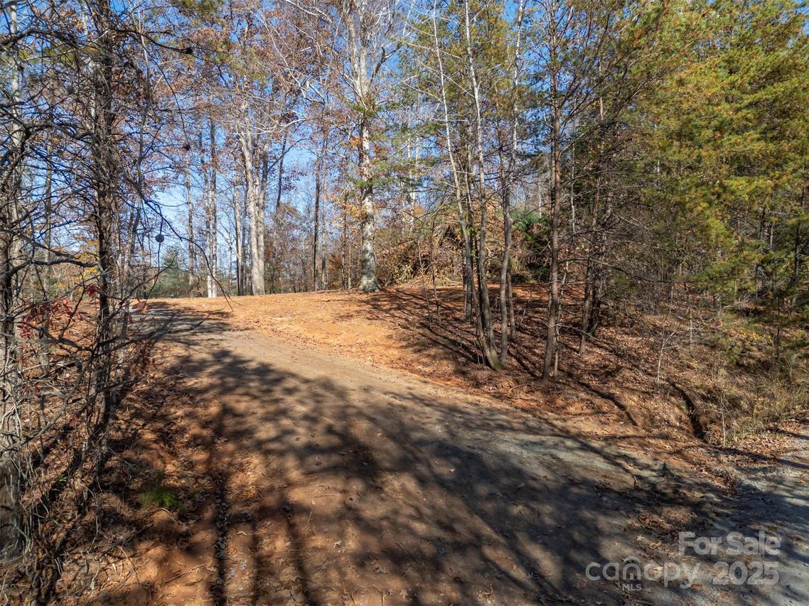 145 Stroud Mountain Tr. #85, Rutherfordton, NC 28139