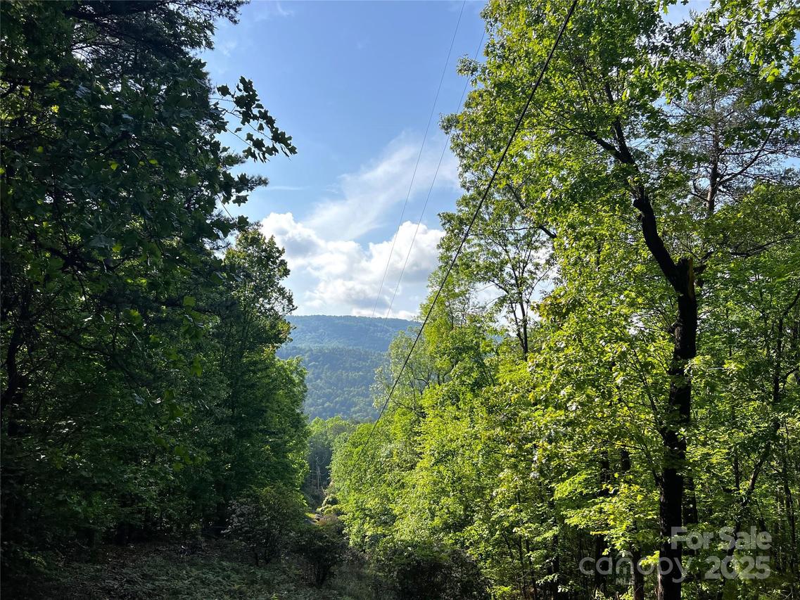 Lot 16 Arrowhead Ridge #16R, Pisgah Forest, NC 28712