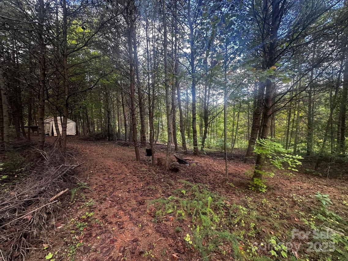 1485 Freemantown Rd., Lake Lure, NC 28746