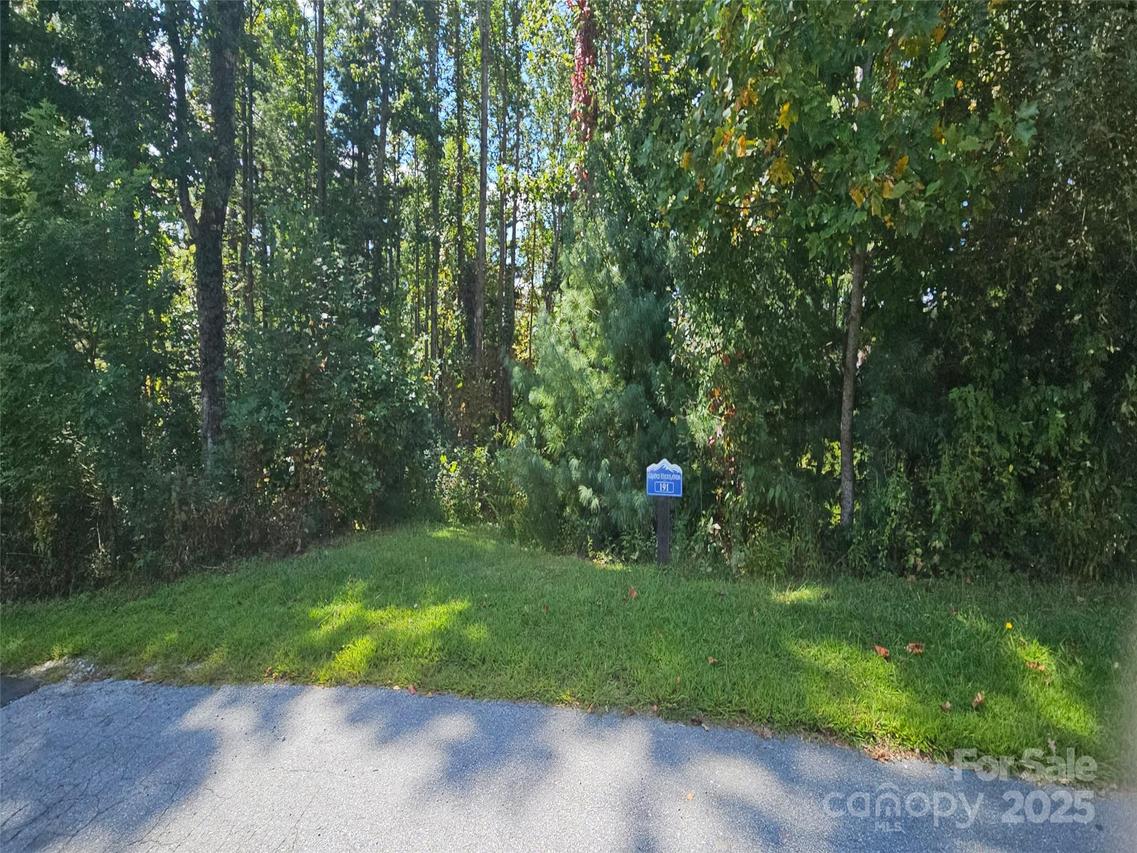 00 Bearwallow Mountain Dr. #191, Hendersonville, NC 28792