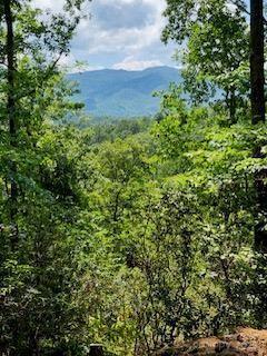 19 Marr Heights, Bryson City, NC 28713