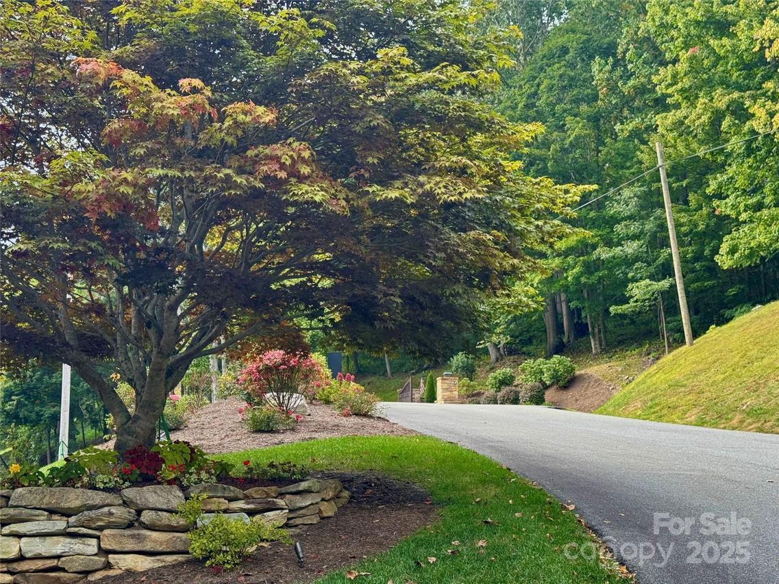 TBD Bear Paw Rd. #15, Elk Park, NC 28622