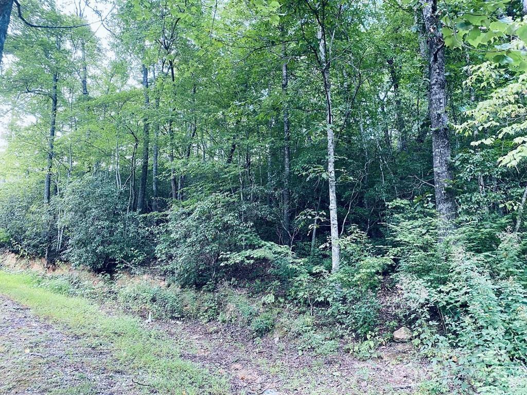 3 Rock And Roll Ln., Sylva, NC 28779