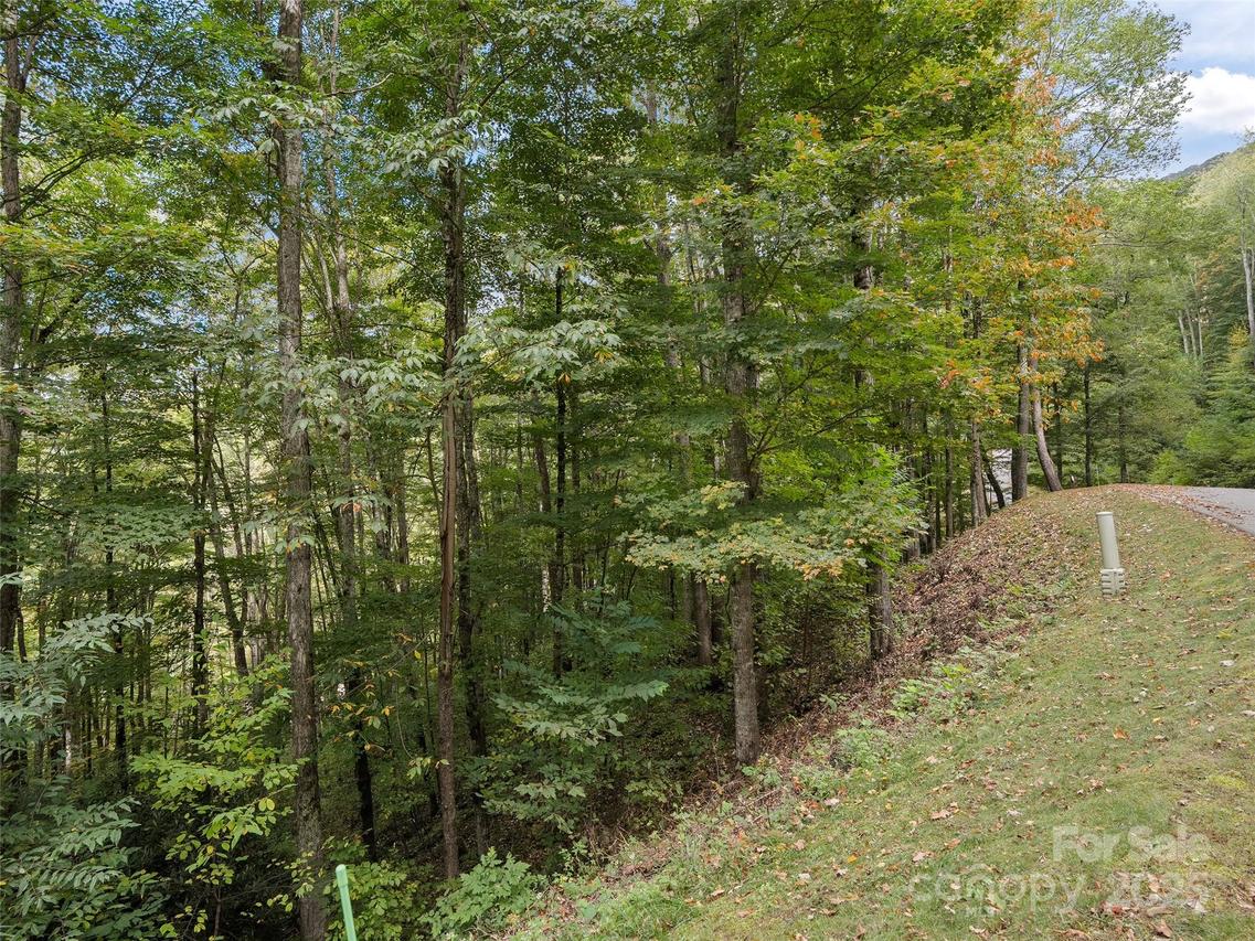 Macallan Dr. #16, Waynesville, NC 28786