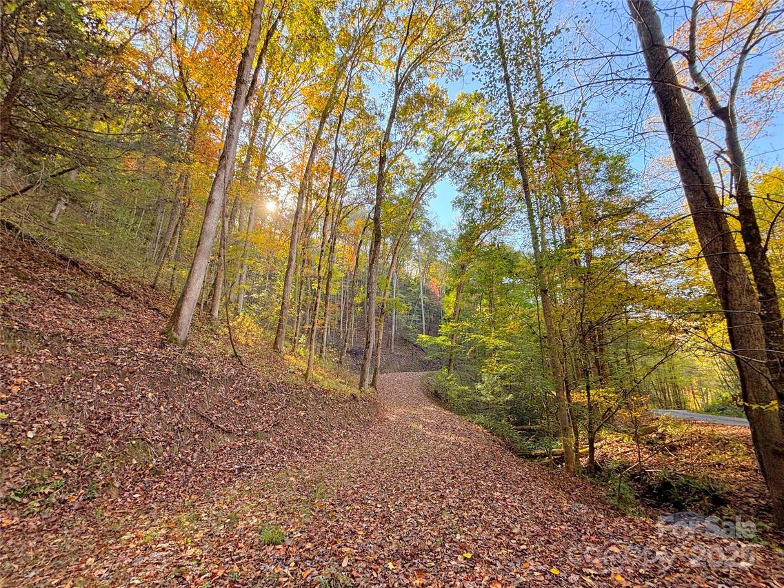 9999 Mountainside Dr., Bryson City, NC 28713