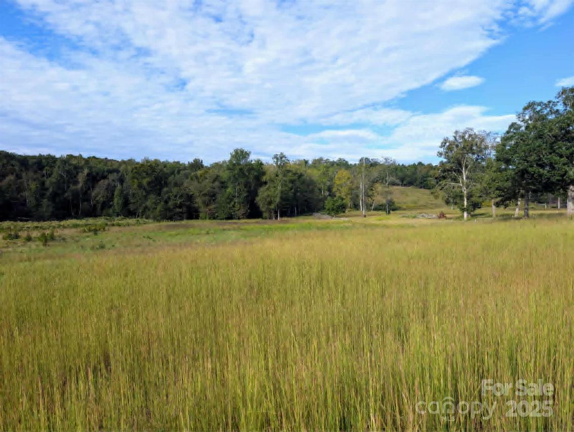 000 Polk County Line Rd., Columbus, NC 28722