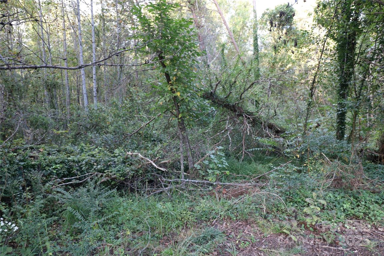 Carver Ln., Forest City, NC 28043