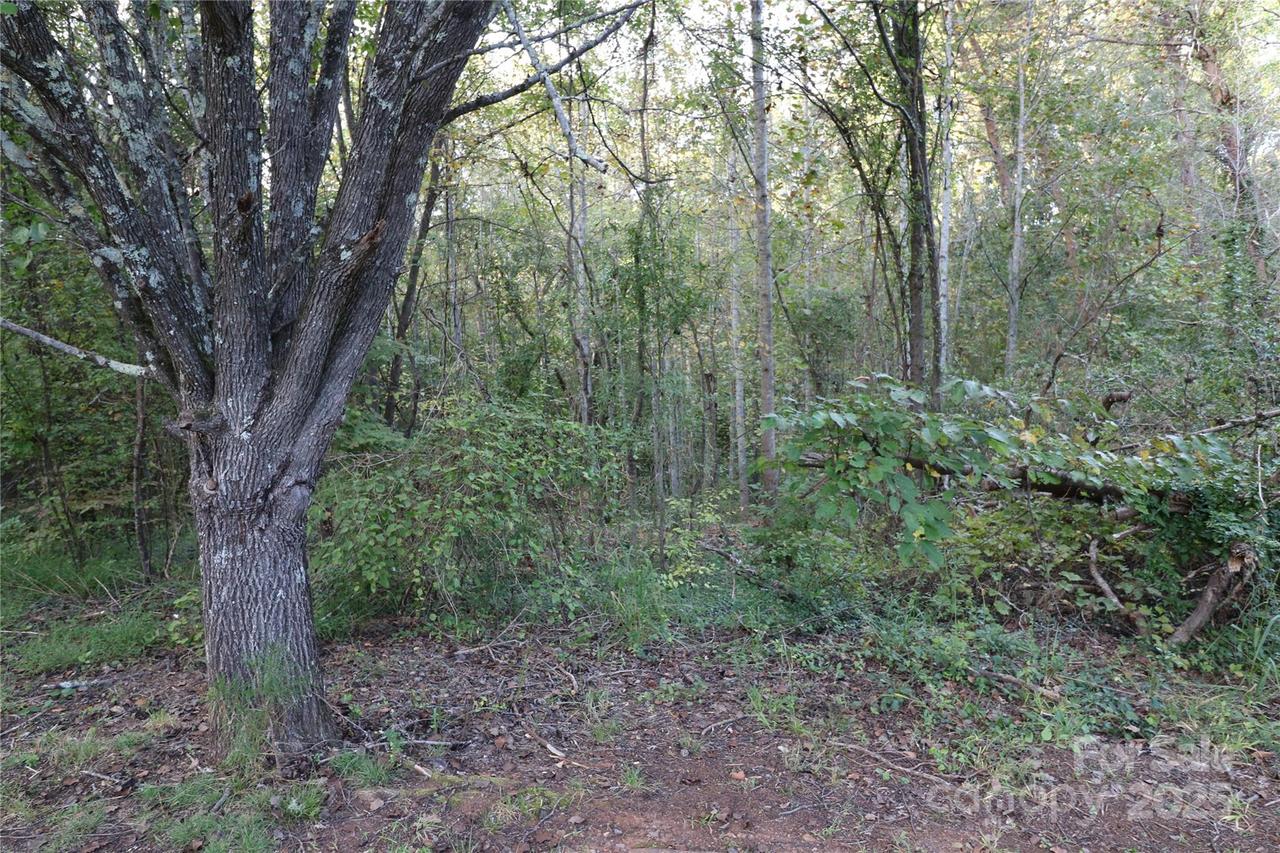 Carver Ln., Forest City, NC 28043