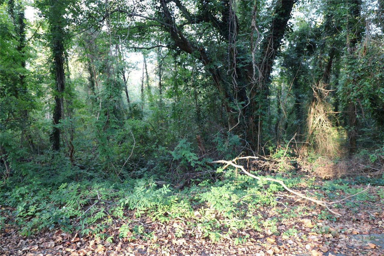 Carver Ln., Forest City, NC 28043