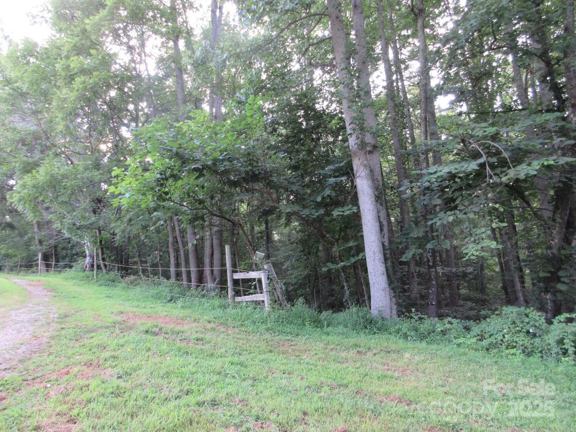 00 Old Burnsville Rd., Weaverville, NC 28787