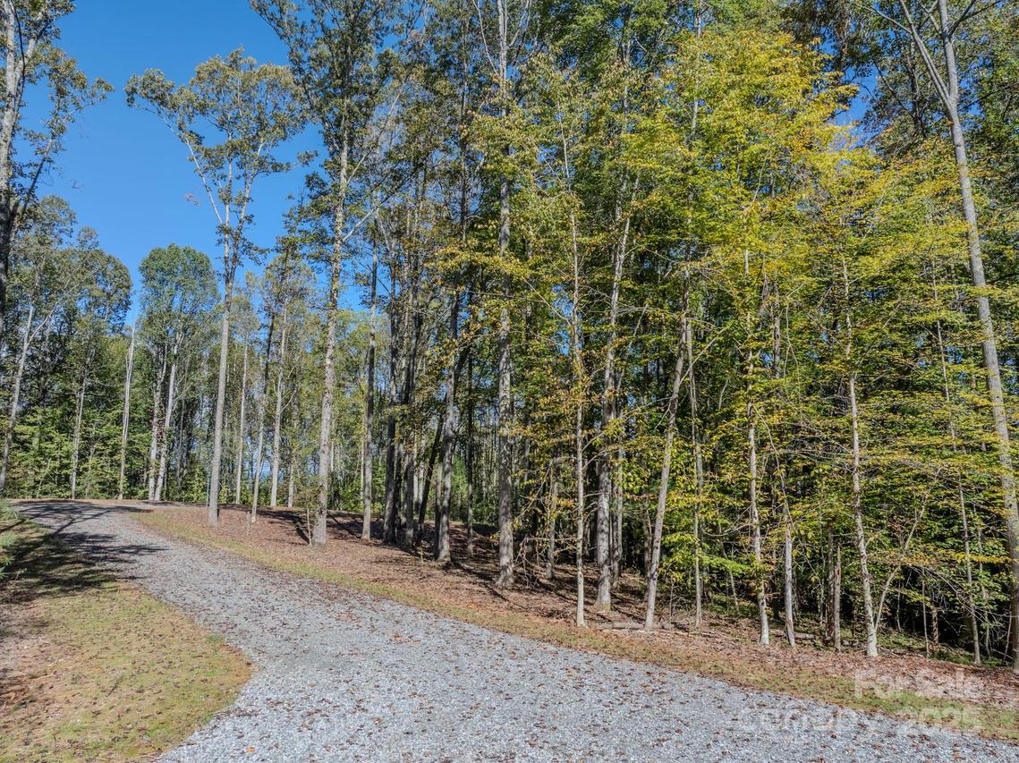 000 Nature Walk Ln. #9, Hendersonville, NC 28739