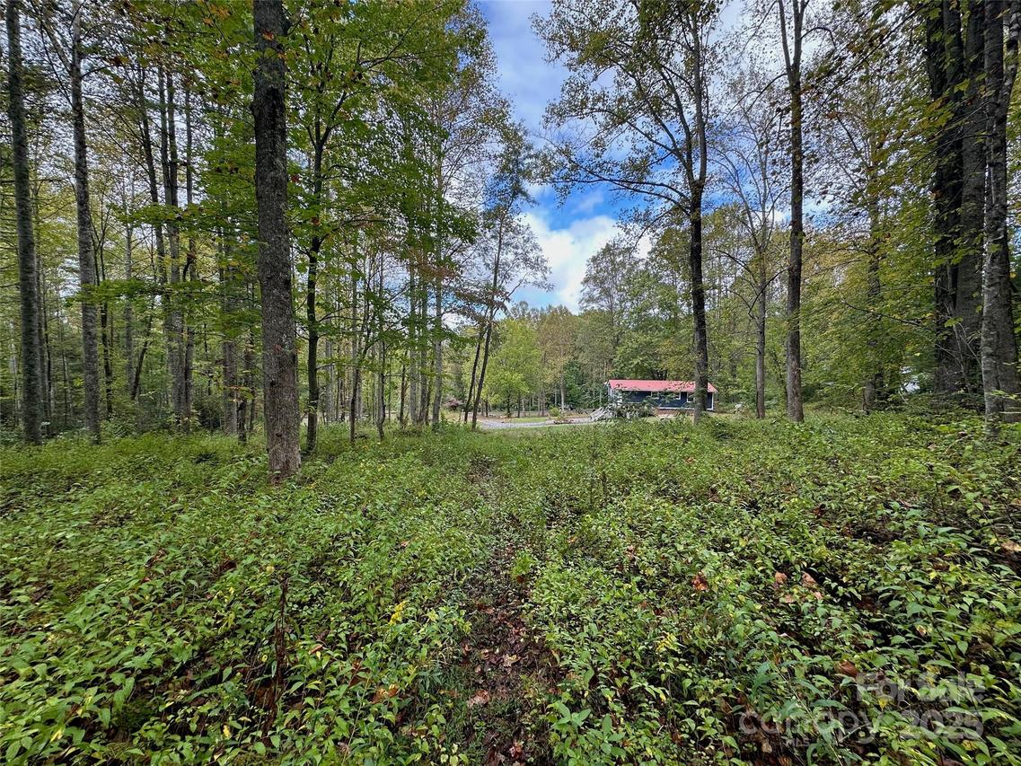 00 Sam King Rd., Hendersonville, NC 28739