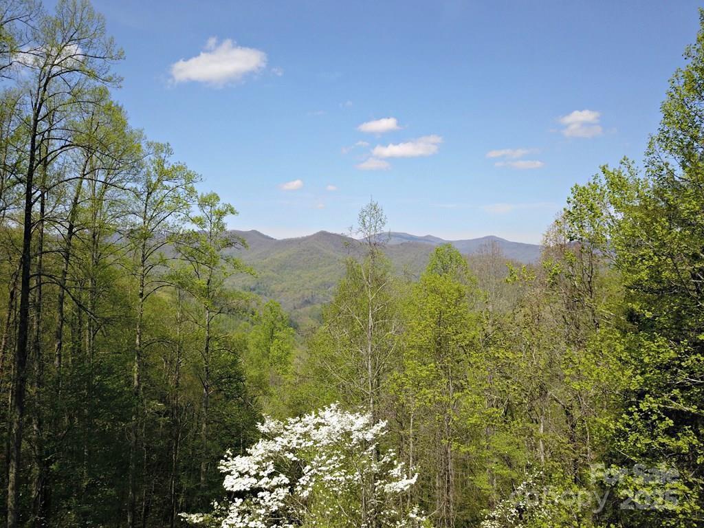 528 Early Dietz Rd., Sylva, NC 28779