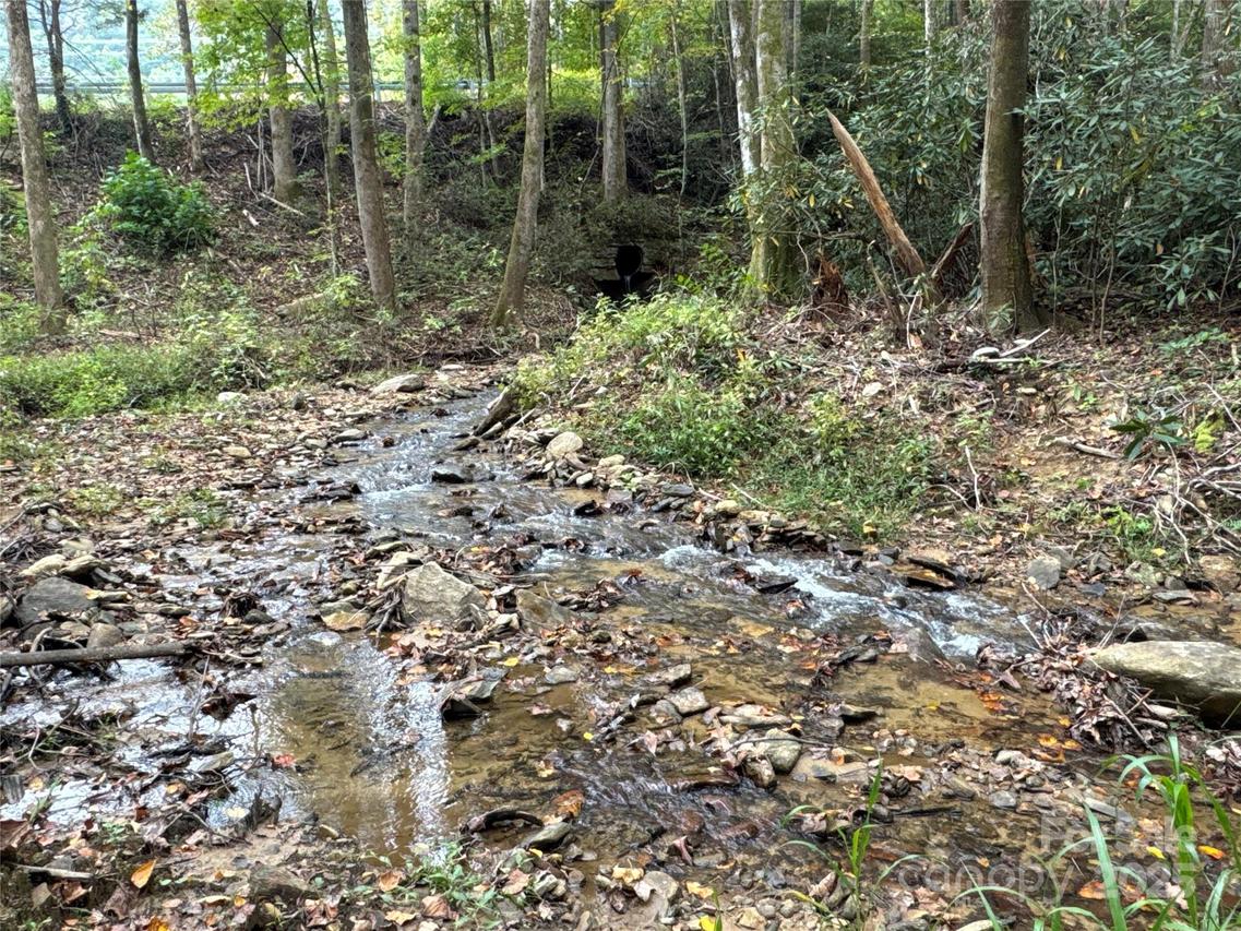 00 Mt Hebron Rd., Old Fort, NC 28711