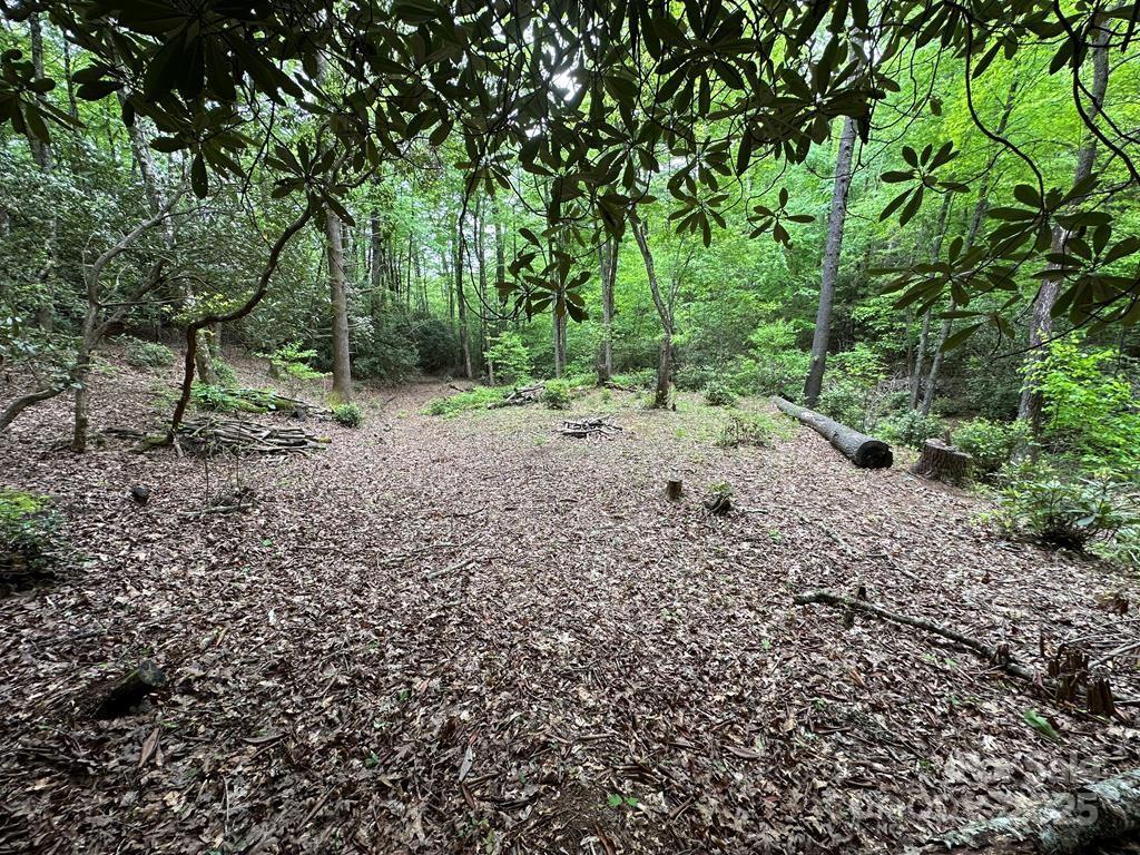 00 Diamond Creek Rd., Lake Toxaway, NC 28747
