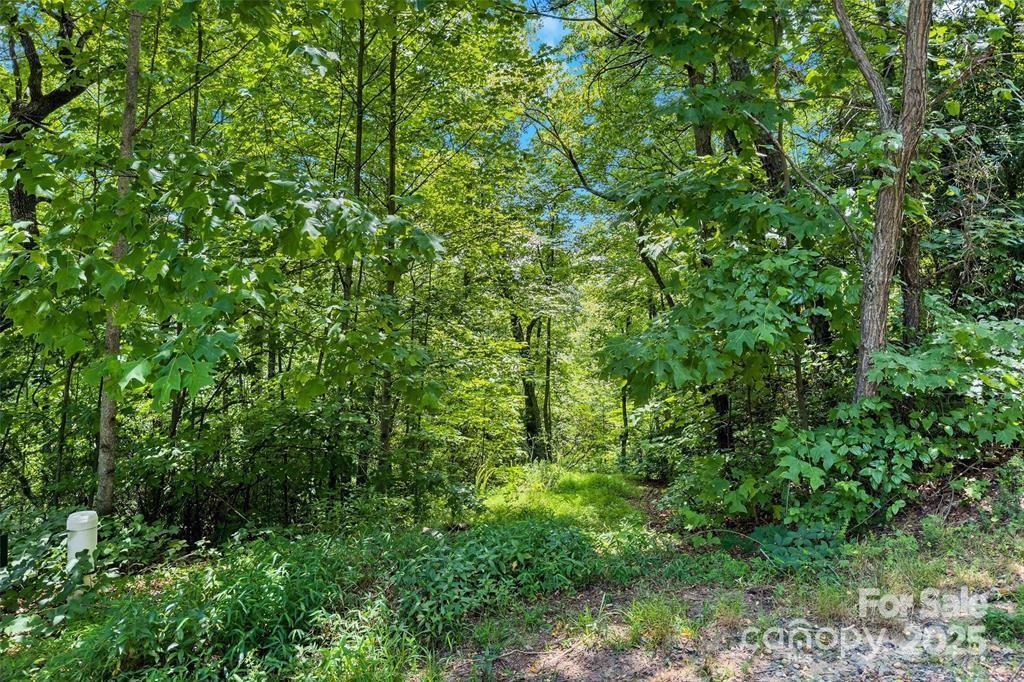 144 Galax Dr. #T-42, Black Mountain, NC 28711