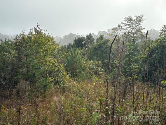New Homes For Sale This Week That Attend Salem Elementary: October 3rd to October 9th