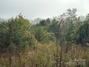 New Homes For Sale This Week That Attend Salem Elementary: October 3rd to October 9th