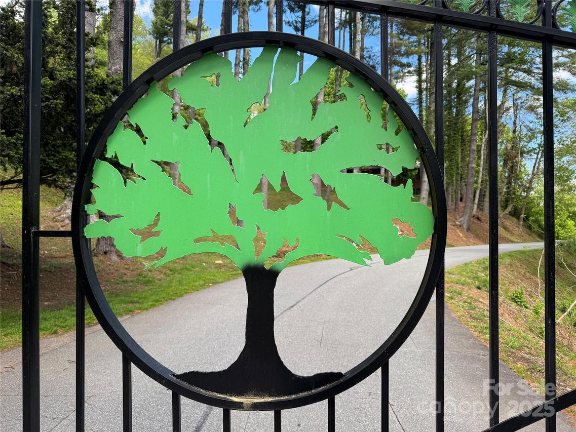 lot 50 Fire Pink Rd. #50, Boone, NC 28607