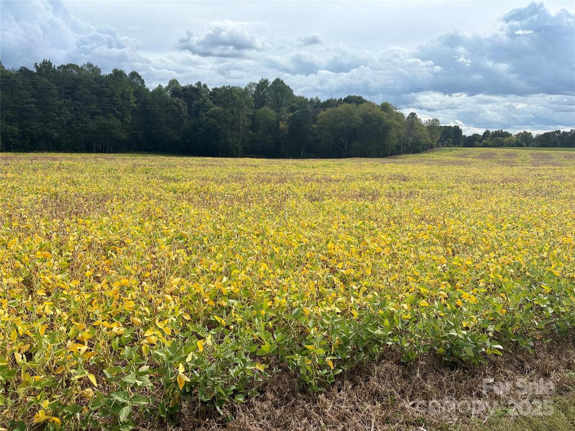 8.5 ac Williamsburg Rd., Olin, NC 28660