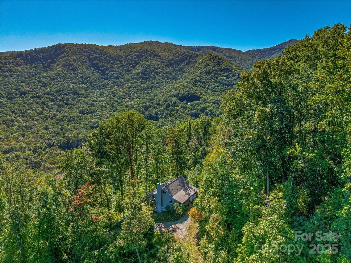 382 Black Oak Cove Rd., Candler, NC 28715