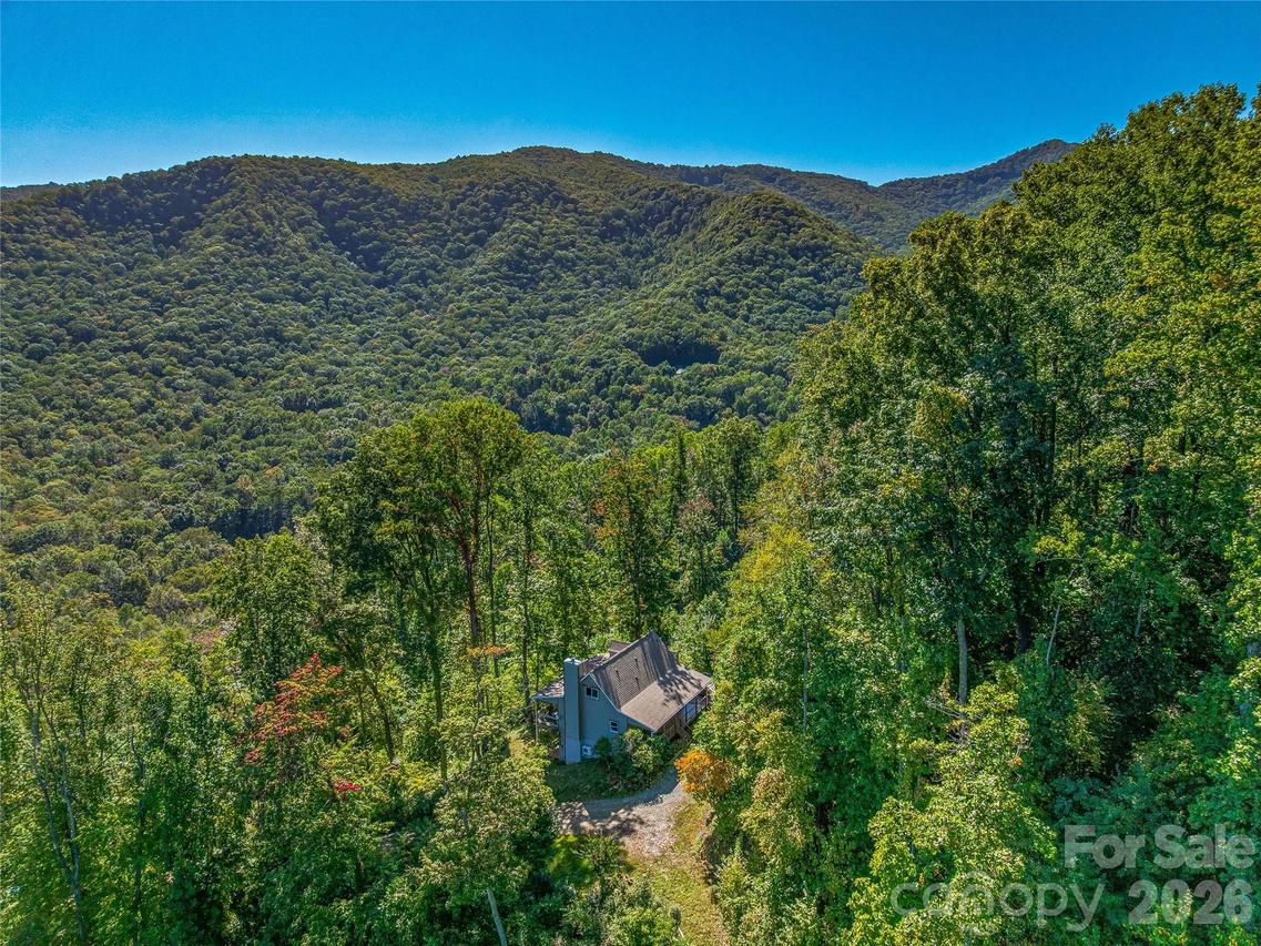 382 Black Oak Cove Rd., Candler, NC 28715