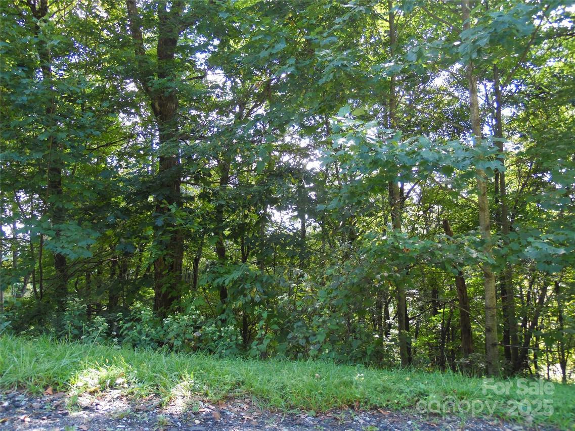 15 Great Sky Dr., Todd, NC 28684