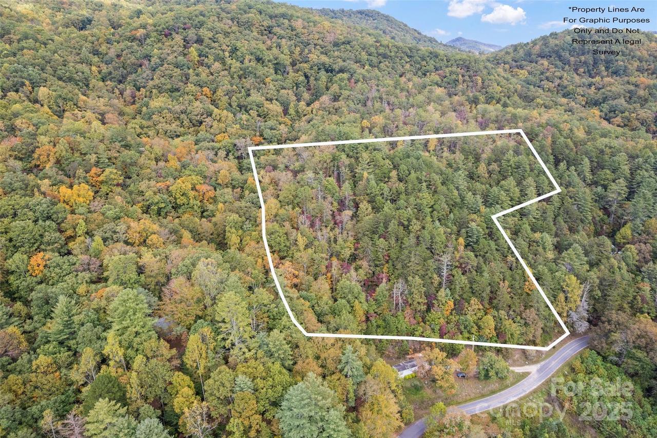 99999 Chastain Rd., Scaly Mountain, NC 28775