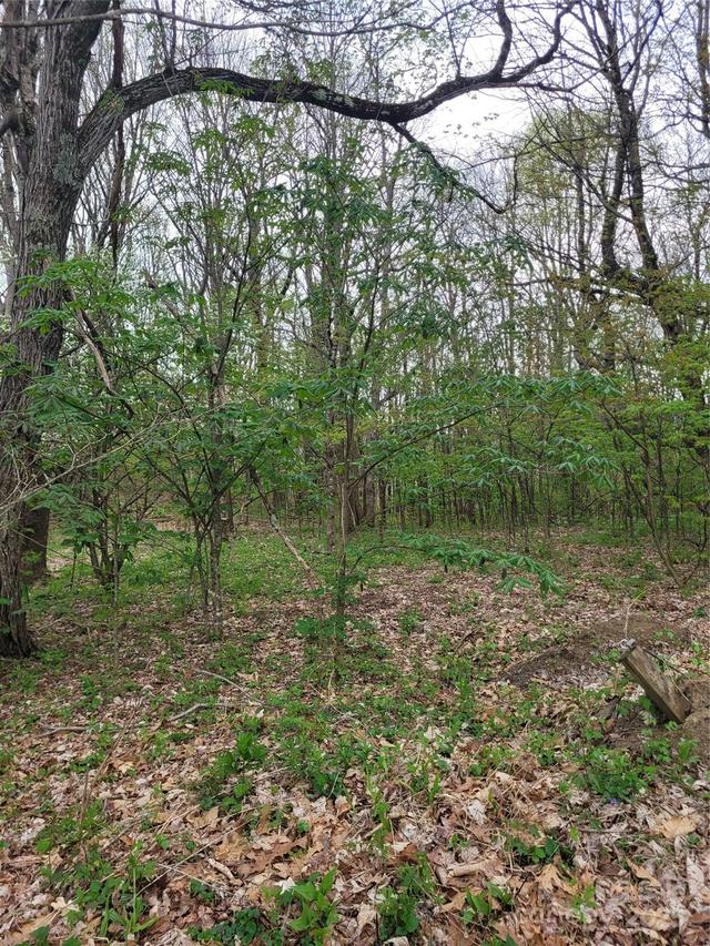 TBD Buena Vista Dr., West Jefferson, NC 28694